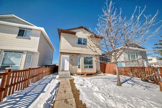 Photo 41: 76 Martinbrook Road NE in Calgary: Martindale Detached for sale : MLS®# A2119222
