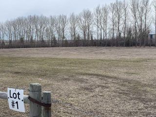 Photo 3: 48235 365 Avenue E: Rural Foothills County Residential Land for sale : MLS®# A2125044