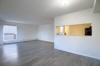 Photo 3: 202 225 25 Avenue SW in Calgary: Mission Apartment for sale : MLS®# A1163942