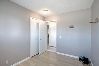 Photo 19: 11 Maryvale Place NE in Calgary: Marlborough Detached for sale : MLS®# A1207159
