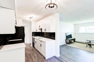 Photo 1: 45 366 94 Avenue SE in Calgary: Acadia Apartment for sale : MLS®# A1237610