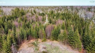 Photo 10: Lot 29 Shore Road in North West Harbour: 407-Shelburne County Vacant Land for sale (South Shore)  : MLS®# 202309140