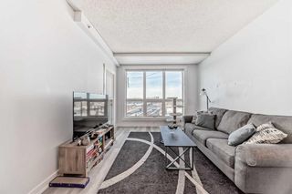 Photo 11: 1213 8710 Horton Road SW in Calgary: Haysboro Apartment for sale : MLS®# A2113897