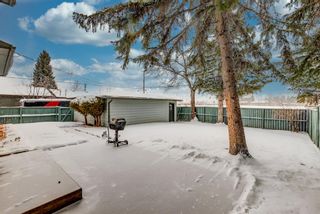 Photo 3: 13247 Lake Lucerne Road SE in Calgary: Lake Bonavista Detached for sale : MLS®# A1186496