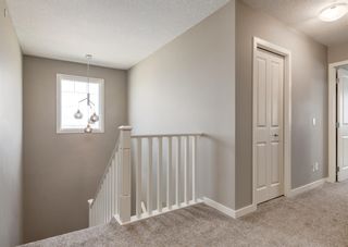 Photo 14: 120 Howse Terrace NE in Calgary: Livingston Detached for sale : MLS®# A1219316
