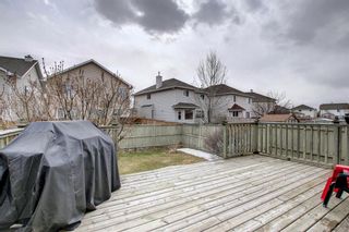 Photo 32: 625 Coral Springs Boulevard NE in Calgary: Coral Springs Detached for sale : MLS®# A1207529