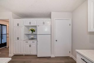 Photo 10: 504 Penworth Drive SE in Calgary: Penbrooke Meadows Detached for sale : MLS®# A2118712