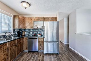 Photo 14: 139 Appletree Close SE in Calgary: Applewood Park Detached for sale : MLS®# A1022936