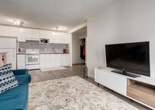 Photo 8: 203 709 3 Avenue NW in Calgary: Sunnyside Apartment for sale : MLS®# A2026042