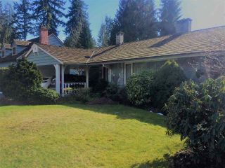 Photo 13: 470 GORDON Avenue in West Vancouver: Cedardale House for sale in "Cedardale" : MLS®# R2244893