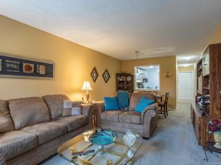 Photo 16: 111 10461 Resthaven Dr in Sidney: Si Sidney North-East Condo for sale : MLS®# 889198