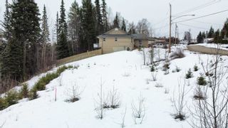 Photo 13: 2890 INGALA Drive in Prince George: Ingala Land for sale (PG City North)  : MLS®# R2759097