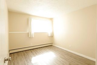 Photo 18: 22 366 94 Avenue SE in Calgary: Acadia Apartment for sale : MLS®# A2121640