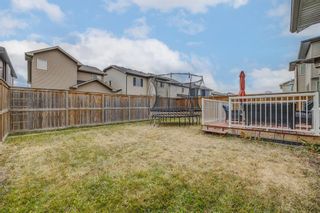 Photo 30: 167 Skyview Shores Crescent NE in Calgary: Skyview Ranch Detached for sale : MLS®# A2019286