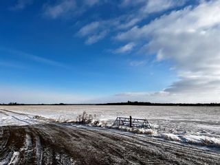 Photo 5: SE 34-45-19-W4: Rural Camrose County Residential Land for sale : MLS®# A2013938