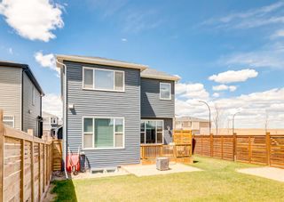 Photo 45: 120 Howse Terrace NE in Calgary: Livingston Detached for sale : MLS®# A1219316