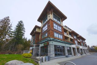 Main Photo: 202 3732 MT. SEYMOUR Parkway in North Vancouver: Indian River Condo for sale in "Nature's Cove" : MLS®# R2784461