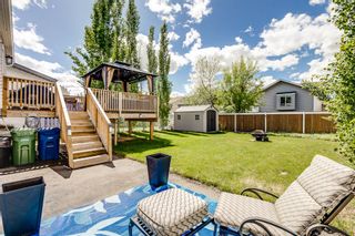 Photo 22: 124 Sunridge Crescent NW: Airdrie Detached for sale : MLS®# A2052307