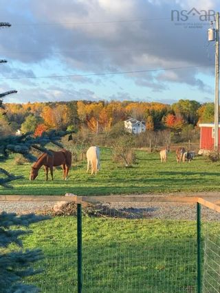 Photo 16: 89 Basinview Road in Lockhartville: Kings County Farm for sale (Annapolis Valley)  : MLS®# 202226671