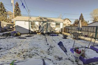 Photo 5: 8340 47 Avenue NW in Calgary: Bowness Detached for sale : MLS®# A1052532