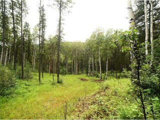 Photo 10: 231115 Forestry Way in Rural Rocky View County: Rural Rocky View MD Residential Land for sale : MLS®# A2056562