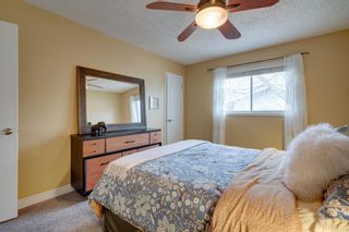 Photo 19: 1840 33 Avenue SW in Calgary: South Calgary Detached for sale : MLS®# A1100714