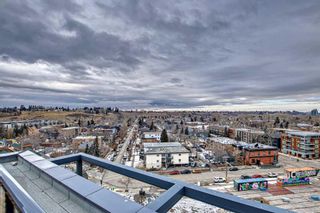 Photo 36: 305 327 9A Street NW in Calgary: Sunnyside Apartment for sale : MLS®# A2113858
