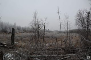 Photo 13: 49252 Rge Rd 42: Rural Leduc County Vacant Lot/Land for sale : MLS®# E4369568