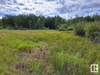 Photo 4: 61009 RR 250: Rural Westlock County Rural Land/Vacant Lot for sale : MLS®# E4312474