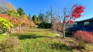 Photo 40: 13307 MARINE Drive in Surrey: Crescent Bch Ocean Pk. House for sale (South Surrey White Rock)  : MLS®# R2629833