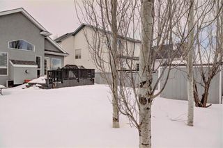 Photo 35: 246 CHAPARRAL Place SE in Calgary: Chaparral House for sale : MLS®# C4172141