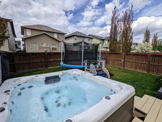 Photo 41: 35 Brightonwoods Crescent SE in Calgary: New Brighton Detached for sale : MLS®# A1220739