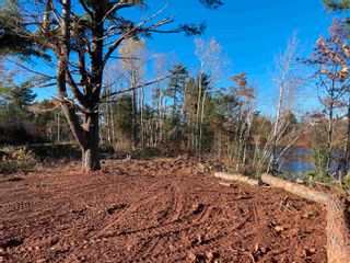 Photo 3: Lot Highway 311 in Tatamagouche: 103-Malagash, Wentworth Vacant Land for sale (Northern Region)  : MLS®# 202323312