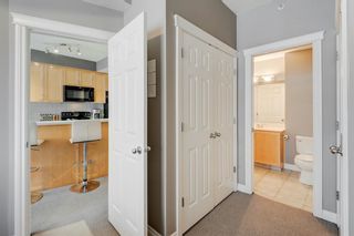 Photo 19: 218 930 Centre Avenue NE in Calgary: Bridgeland/Riverside Apartment for sale : MLS®# A2033102