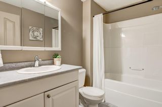 Photo 24: 47 BRIDLEPOST Green SW in Calgary: Bridlewood Detached for sale : MLS®# C4296082
