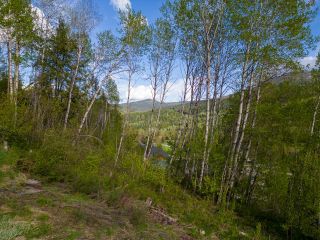 Photo 14: 1021 SILVERTIP ROAD in Rossland: Vacant Land for sale : MLS®# 2470639