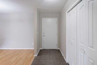 Photo 3: 104 4000 Citadel Meadow Point NW in Calgary: Citadel Apartment for sale : MLS®# A2128486