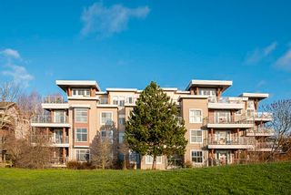 Photo 34: 329 5700 ANDREWS Road in Richmond: Steveston South Condo for sale in "RIVERS REACH" : MLS®# R2634060
