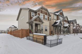 Main Photo: 225 Skyview Ranch Boulevard NE in Calgary: Skyview Ranch Detached for sale : MLS®# A2117023