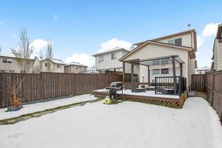 Photo 46: 1027 Everridge Drive SW in Calgary: Evergreen Detached for sale : MLS®# A2128339