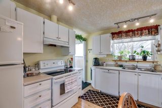 Photo 6: 10 Abalone Crescent NE in Calgary: Abbeydale Detached for sale : MLS®# A1072255
