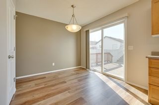 Photo 28: 20235 56 Ave NW: Edmonton House Duplex for sale : MLS®# E4238994
