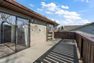 Photo 26: 4008 Hopesmore Dr in Saanich: SE Mt Doug House for sale (Saanich East)  : MLS®# 958127