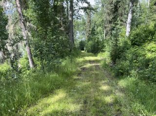 Photo 28: DL 1132 TELKWA HIGH Road in Smithers: Smithers - Rural Land for sale (Smithers And Area)  : MLS®# R2708512