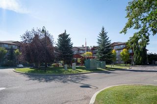 Photo 45: 2405 2405 Lake Fraser Green SE in Calgary: Lake Bonavista Apartment for sale : MLS®# A2003877