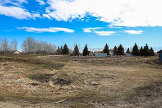 Photo 4: 16 Mintlaw Bridge Estates Township Road 374: Rural Red Deer County Residential Land for sale : MLS®# A2123606