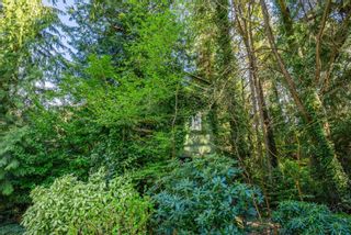 Photo 37: 5656 EAGLE HARBOUR Road in West Vancouver: Eagle Harbour House for sale : MLS®# R2870036
