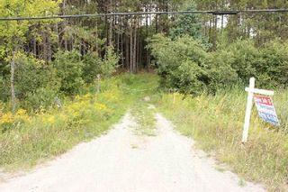 Photo 7: Lt 2 Hwy 121 in Kawartha Lakes: Rural Somerville Property for sale : MLS®# X2986227