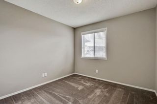 Photo 28: 51 Skyview Springs Cove NE in Calgary: Skyview Ranch Detached for sale : MLS®# C4186074
