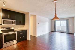 Photo 4: 104 1917 24A Street SW in Calgary: Richmond Apartment for sale : MLS®# A1250334
